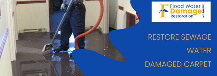 Restore Sewage Water Damaged Carpet