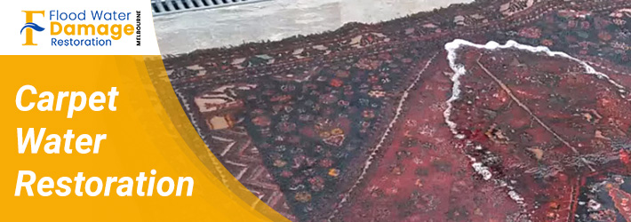 Carpet Water Restoration